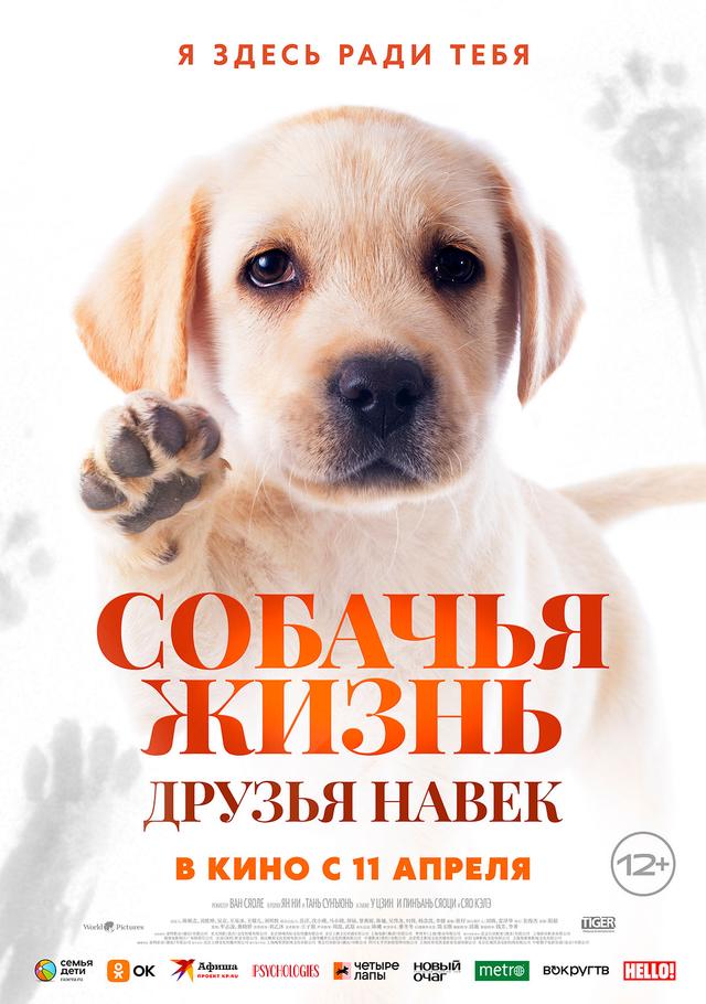 Собачья жизнь: Друзья навек  (12+)